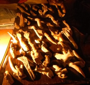 A smorgasboard of cut driftwood awaits my discerning eye, my steady drill and my tough wire.