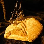Small Silver Dragon on Large Leintwardine Fossil